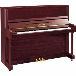 B3 - Polished Mahogany