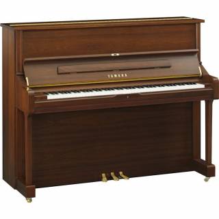 U1 - Satin American Walnut