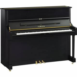 U1 - Satin Ebony