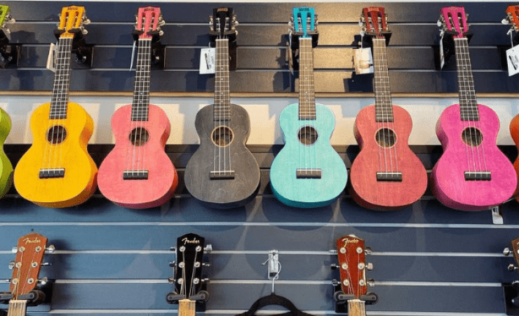 banjo and ukulele classes edmonton
