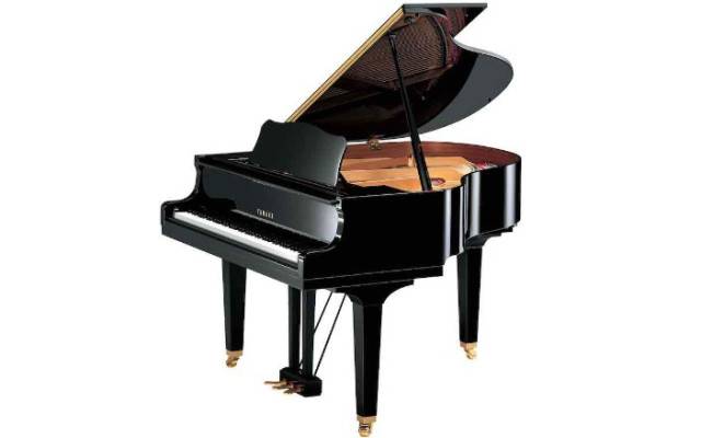 DGB1K EN Classic – 5’0”